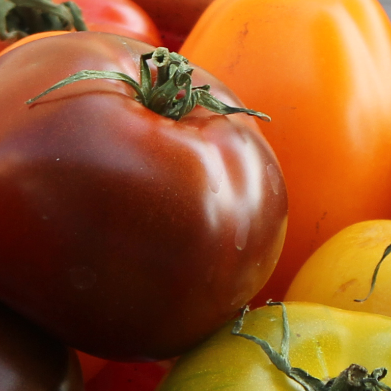 Bunte Tomaten